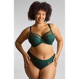 Panache Sculptress - Josephine Full Cup Bra - Forest Green