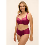 Fantasie Evolution Comfort Full Brief - Ruby