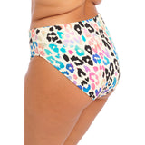 Elomi Party Bay Bikini Brief - Multi