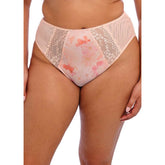 Elomi Cosmos / Midnight - High Leg Brief