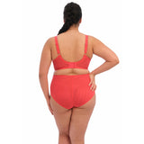 Elomi Brianna UW Plunge Bra - Cayenne