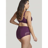 Panache Estel High Waisted Briefs - Damson / Navy