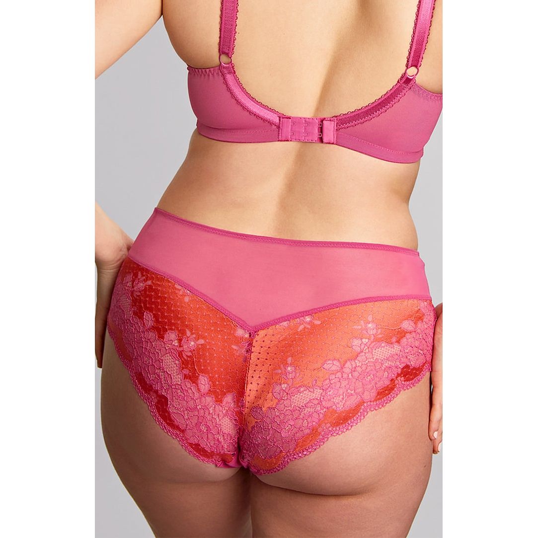 Panache Clara Deep Brief - Pink Papaya