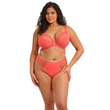 Elomi Matilda Sunset Uw Plunge Bra