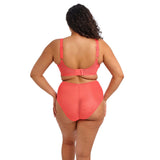 Matilda Sunset Full Brief