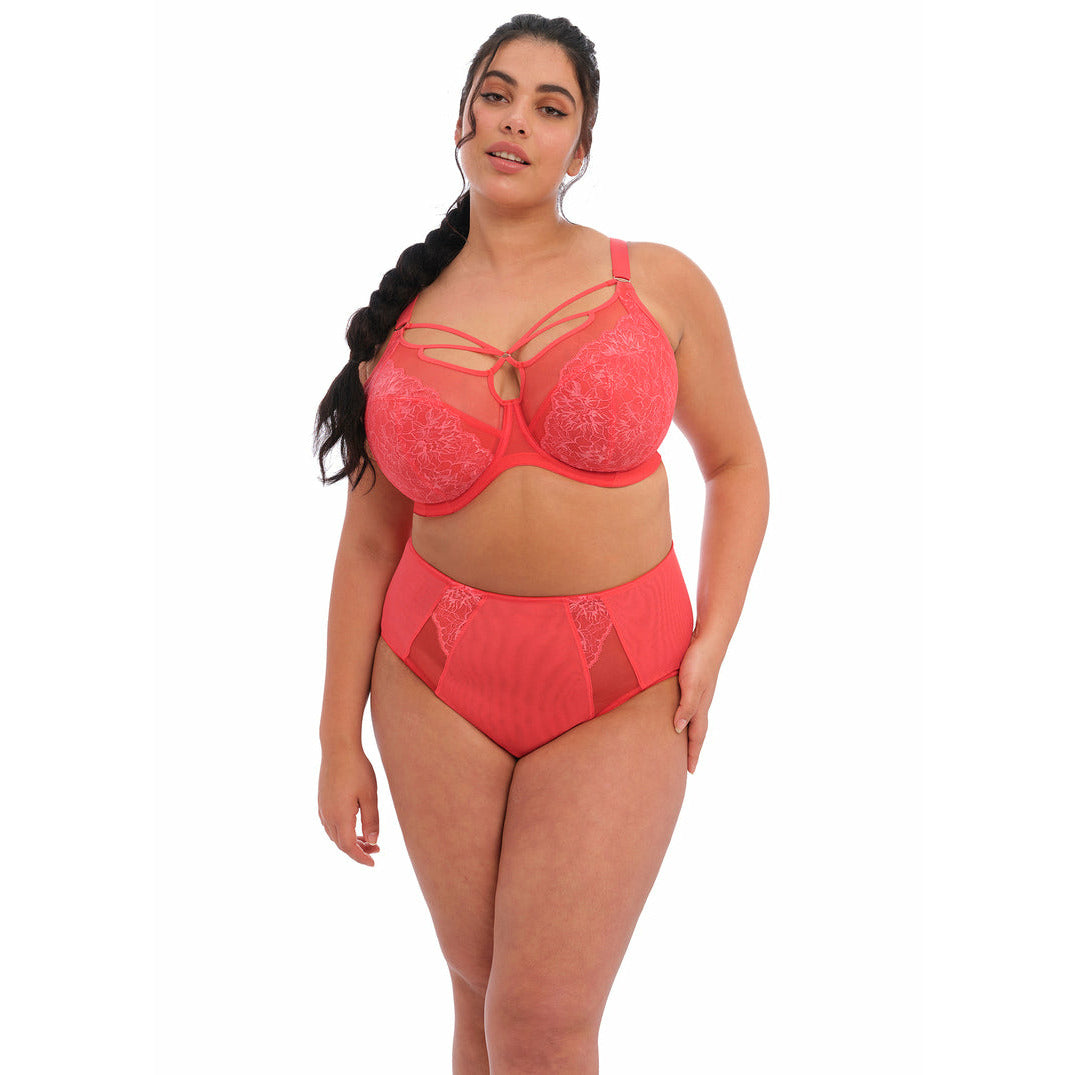 Elomi Brianna UW Plunge Bra - Cayenne