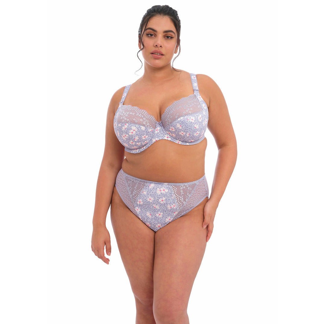 Elomi Lucie High Leg Brief - Aleutian