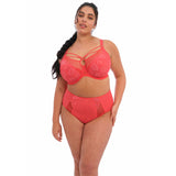 Brianna full brief - Cayenne